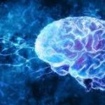 Mind-Linked Internet Jaringan Internet Global yang Terkoneksi Langsung dengan Otak Manusia